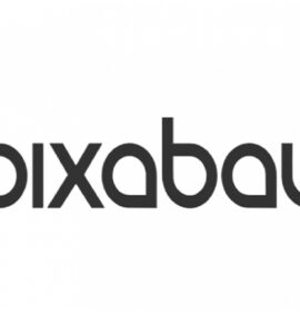 Pixabay : banque d'images gratuites qui propose des photos, illustrations, vidéos et musiques sans droits d'auteur.